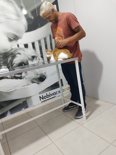 Foto 2 Vitalvete Clínica Veterinária