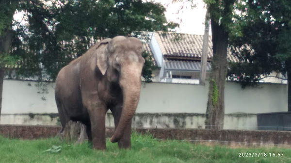 Foto 0 Zoo Park Estacionamento/Lava Rápido