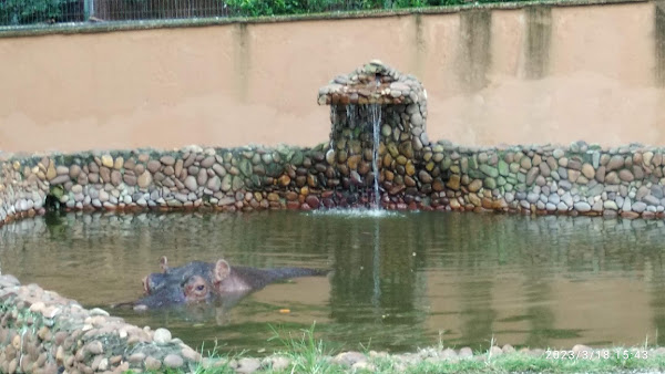 Foto 3 Zoo Park Estacionamento/Lava Rápido