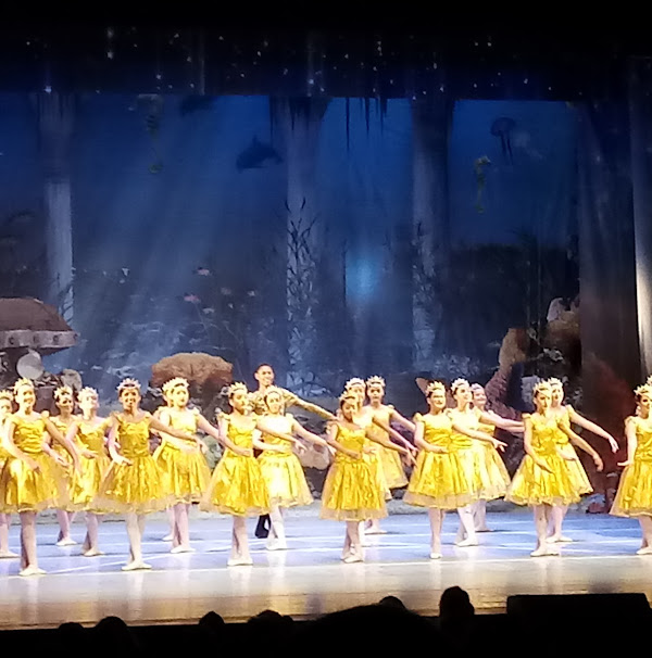 Foto 3 Teatro Atheneu