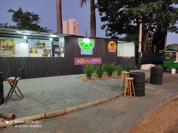 Foto 1 CAIPITRUCK FROZEN