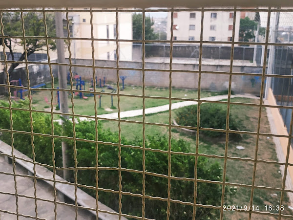 Foto 3 Ruy Rodriguez