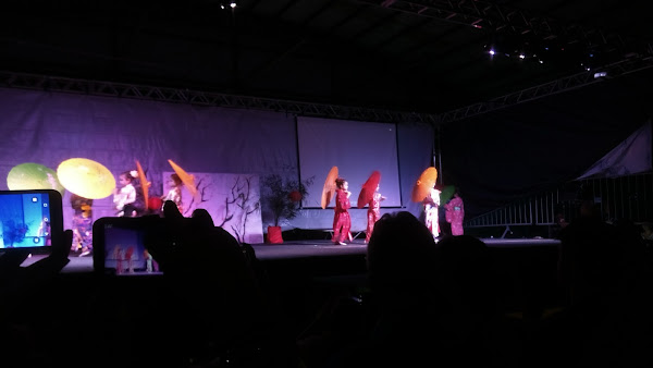 Foto 1 Escola da Ilha