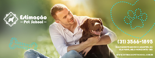 Curso de Banho e Tosa Estimação Pet School