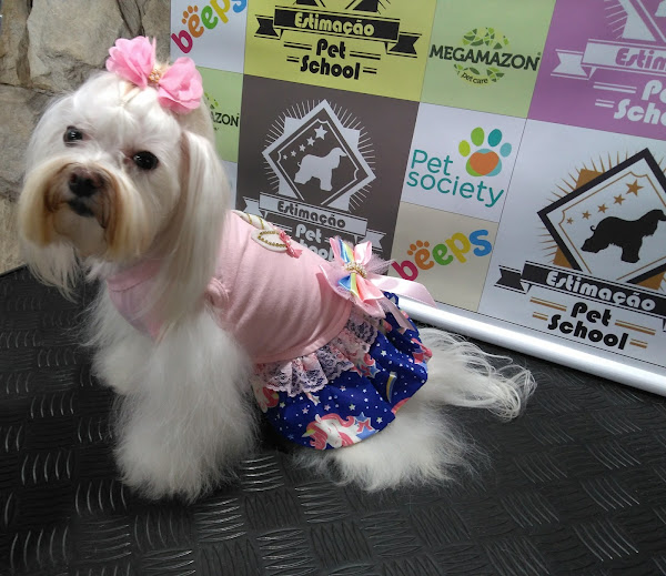 Foto 1 Curso de Banho e Tosa Estimação Pet School
