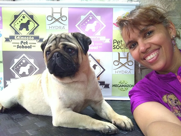 Foto 2 Curso de Banho e Tosa Estimação Pet School