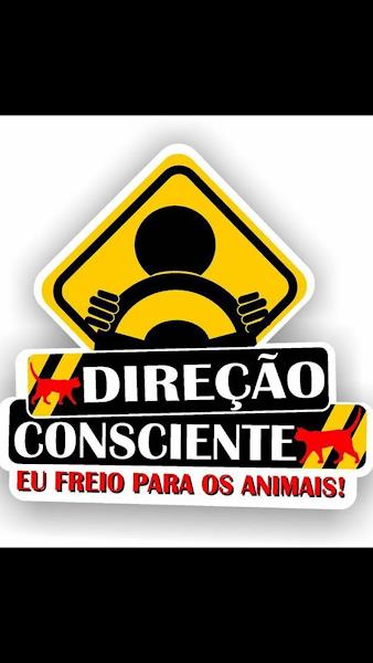 Foto 2 Auto Escola Marina