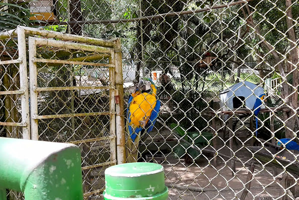 Foto 2 Zoológico da Cidade