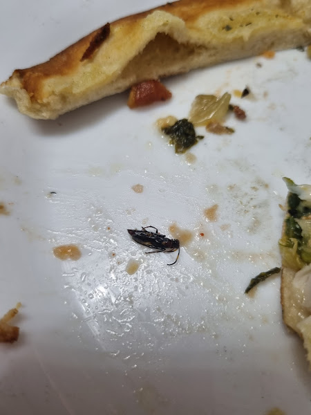 Foto 1 Greco''s Pizzaria e Rotisseria