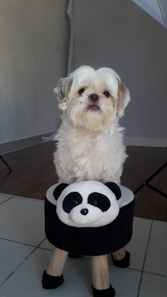 Foto 4 Pizzaria e Esfiharia Nova Ki-Luxo