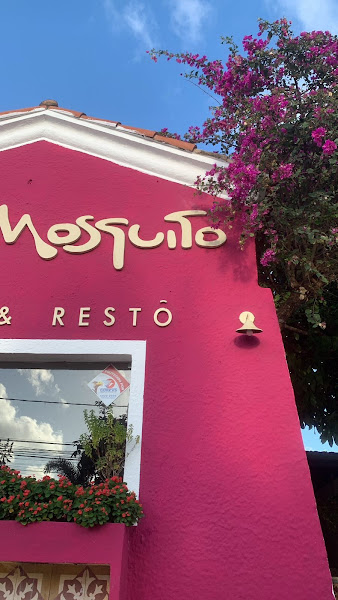 Foto 5 Vila Mosquito