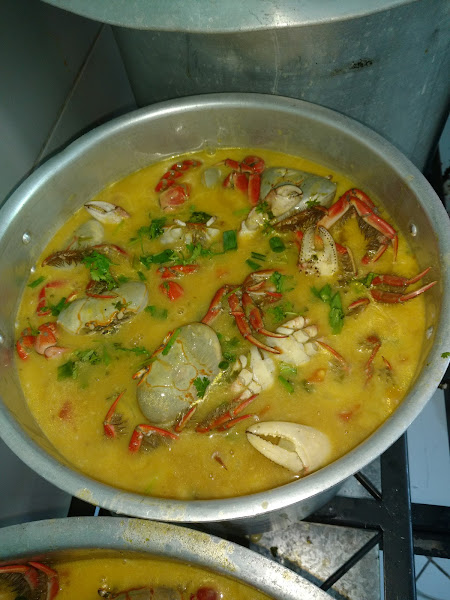 Turi Massas Turi Massas