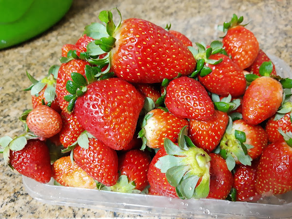 Foto 1 splash pizza do brasil