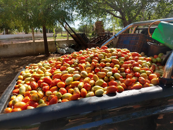 Foto 4 Zermatt Pizza - Estreito