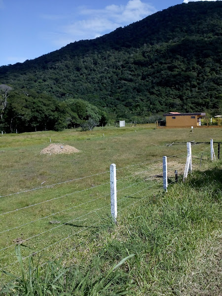 Foto 3 Pizzaria Don Dani