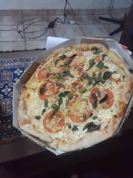 Foto 2 Geraldo Forno A Lenha para pizzarias