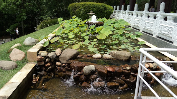 Foto 1 Pizzaria Beatriz