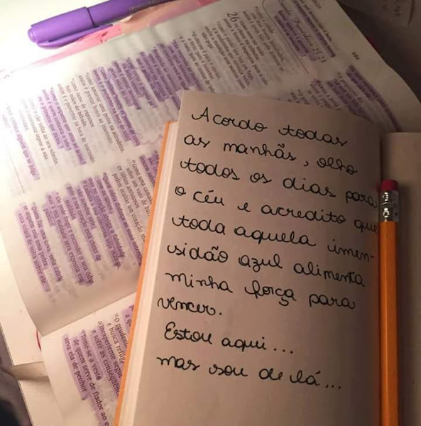 Galeteria e Pizzaria