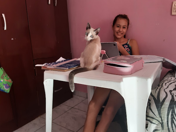 Foto 1 Pizzaria Molecaggio