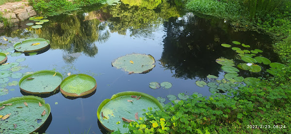 Foto 1 Pizzaria Centenário