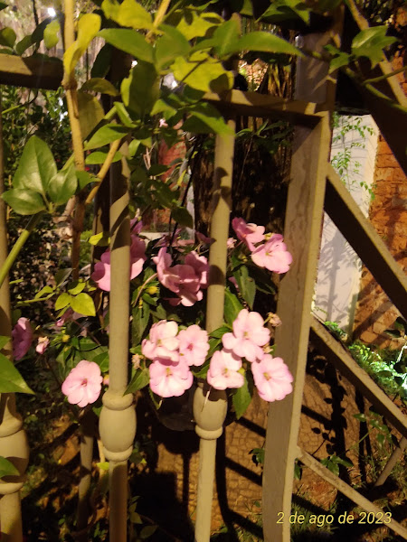 Foto 3 villagio.pizzeria