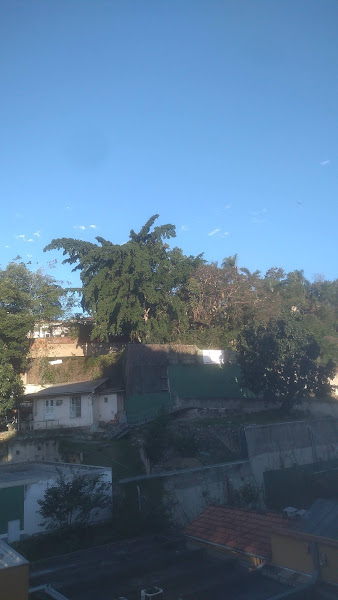 Foto 2 Choperia Amarelinho