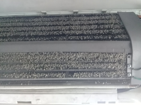 Foto 5 Mega Pizza Forneria