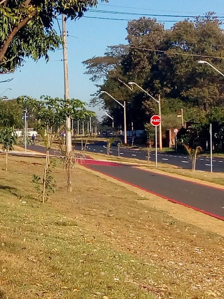 Foto 1 Disk Nona Pizzas & Calzones Rib verde