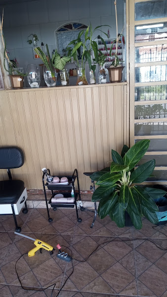 Nossa Pizzaria Express