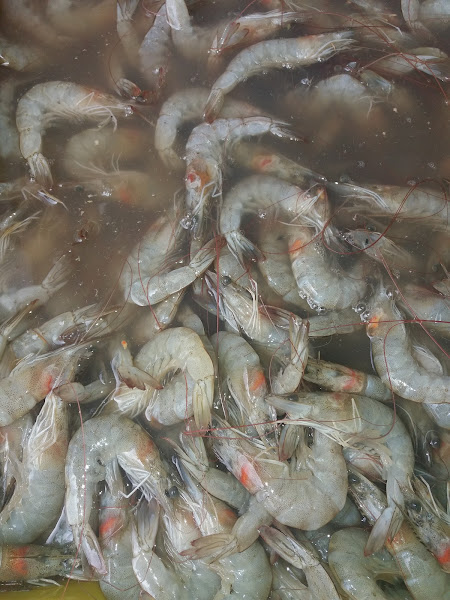 Foto 2 Pizzaria CAPITÃO PIZZA jardeldelivery