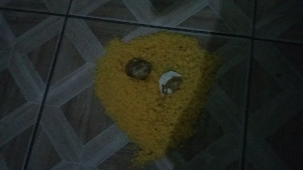 Foto 5 Pizzaria da Gorda