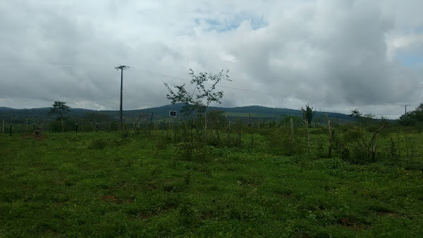 Foto 2 Pizzaria Barreto 3 cidade nova