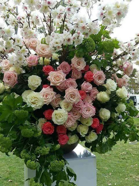 Foto 3 Lanchonete e Pizzaria 20V