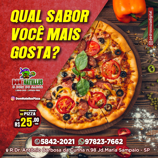 Foto 1 Pizzaria Dom Natellus