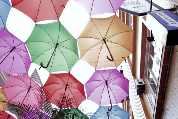 Foto 1 Bacci Pizzeria