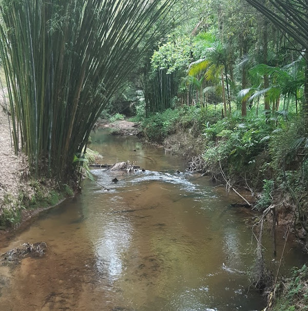 Foto 3 Cachoeira Poço das Virgens