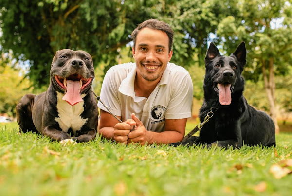 Adestramento e comportamento, cursos de formação de adestradores. Artur Pinheiro