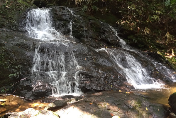 Foto 1 Cachoeira do Sagui