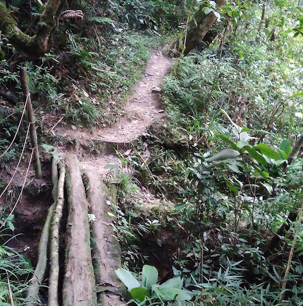 Foto 2 Cachoeira do Sagui