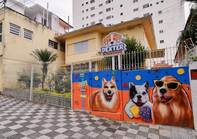 Dexter Pet Play, Hotel & Care Dexter Pet Play, Hotel & Care