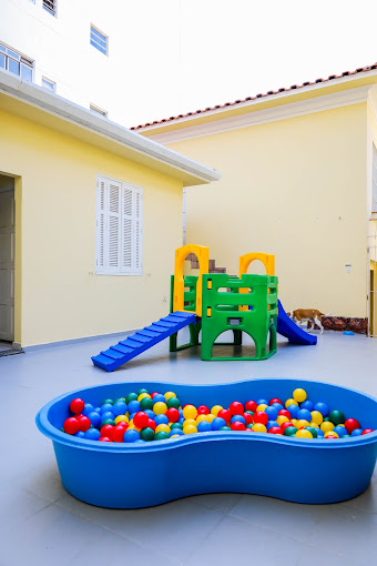 Foto 2 Dexter Pet Play, Hotel & Care