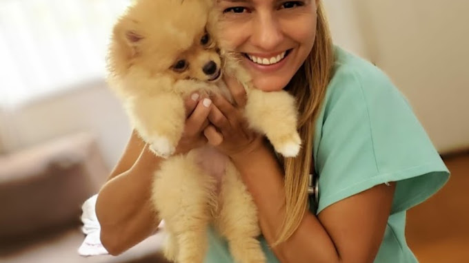 Foto 1 Dra. Grace Lima - Veterinária em domicílio Campinas