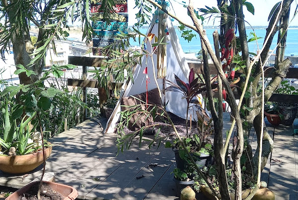 Foto 1 TOPO do Bento