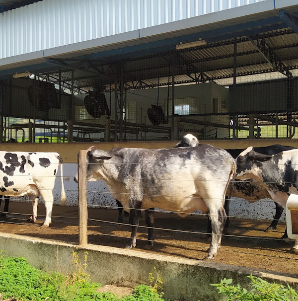 PROJETAR Consultoria e Assistência Técnica Rural