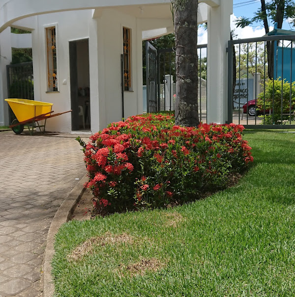 Foto 1 KASSIA DISTRIBUIDORA DE ÁGUA E GÁS