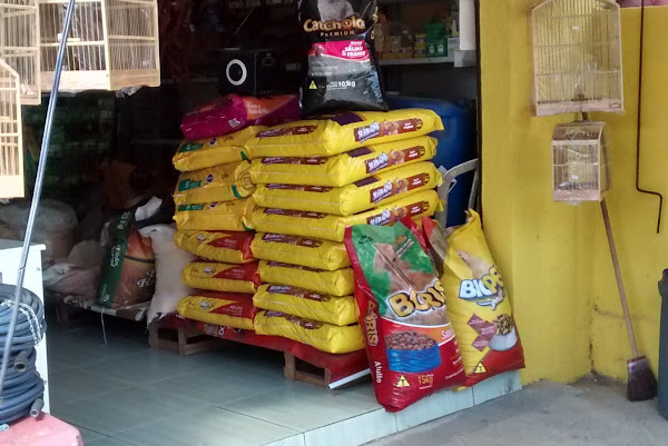 Foto 1 Estrada do Boqueirão Foto 1 Estrada do Boqueirão