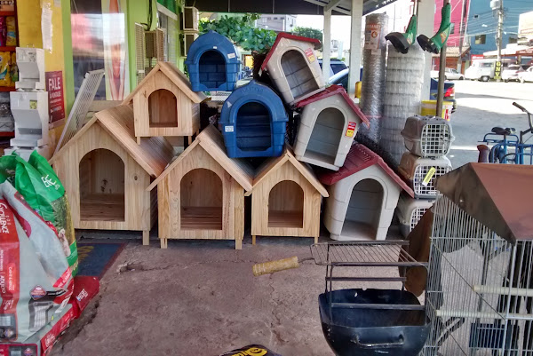 Foto 1 Patas e Bicos Foto 1 Patas e Bicos