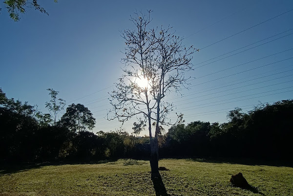 Condomínio Rural Fazenda da Praia