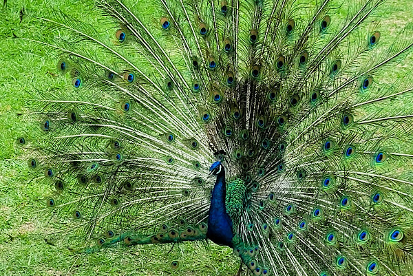 Foto 1 Condomínio Rural Fazenda da Praia