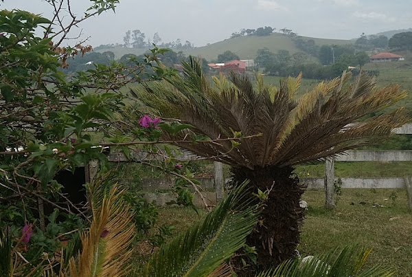 Foto 1 Rancho Guimarães